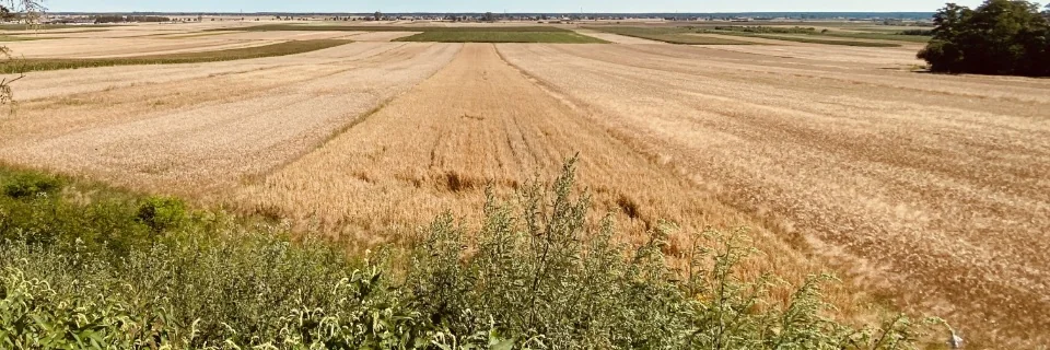 Pole należące do gospodarstwa